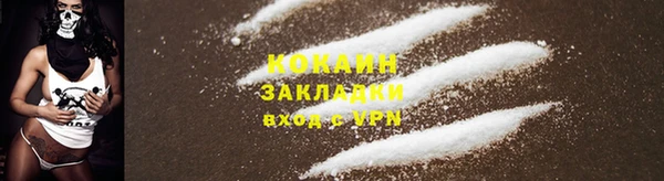 мдпв Осинники