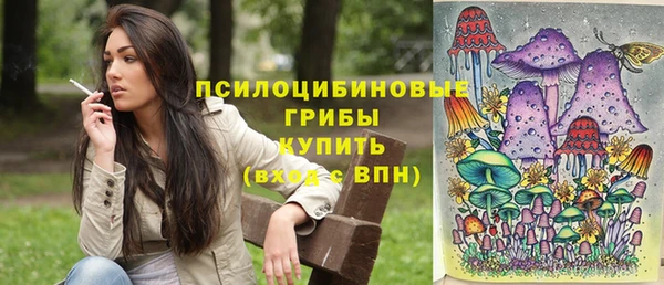ПСИЛОЦИБИНОВЫЕ ГРИБЫ Остров