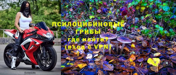 мдпв Осинники