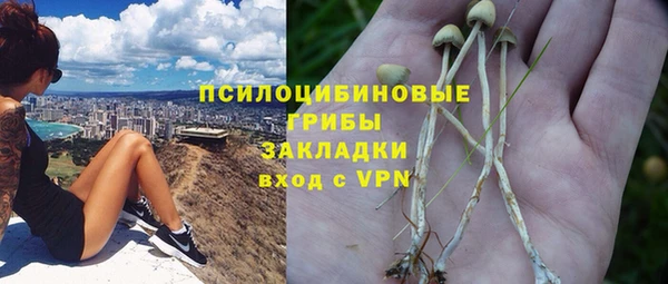 мдпв Осинники