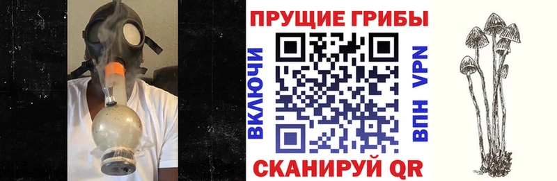 Псилоцибиновые грибы Magic Shrooms  Александровск 
